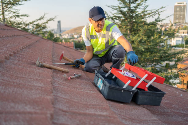 Best Storm Damage Siding Repair  in USA